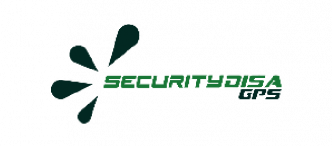 Security Disa_logo